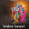 About Krishna Bansuri Song